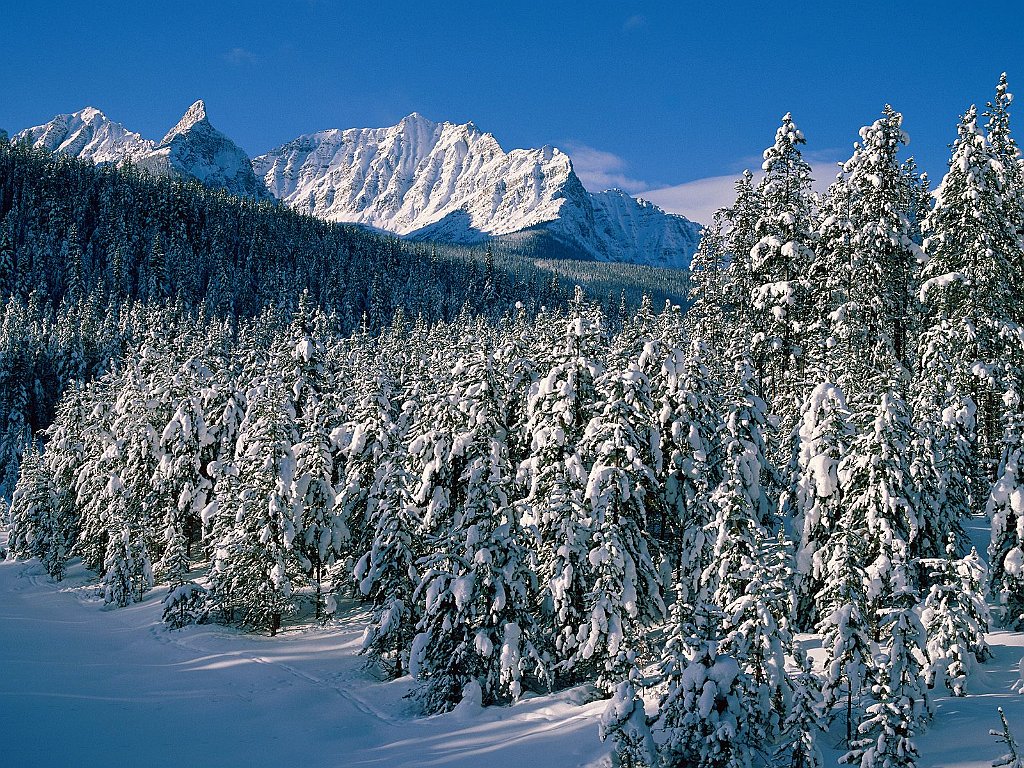 Fairview and Saddle Mountains, Alberta